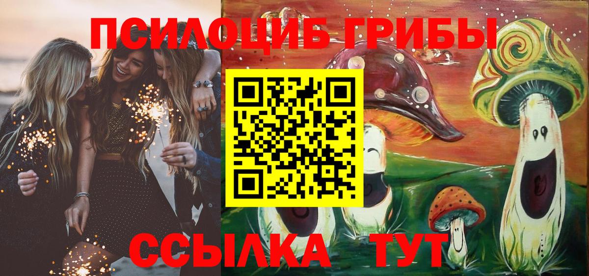 Зеленогорск  Галлюциногенные грибы мицелий  Вход с VPN  Галлюциногенные грибы Psilocybine cubensis 
