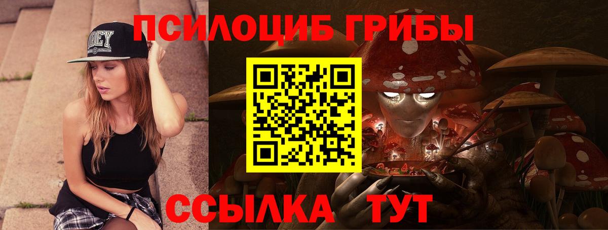 Галлюциногенные грибы прущие грибы Зеленогорск
